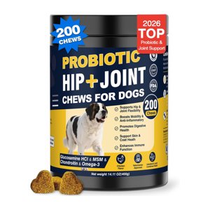 Hip and Joint Supplement