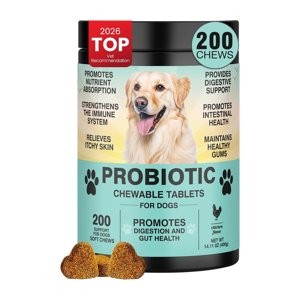 Probiotics for Dogs